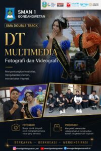 DT Multimedia